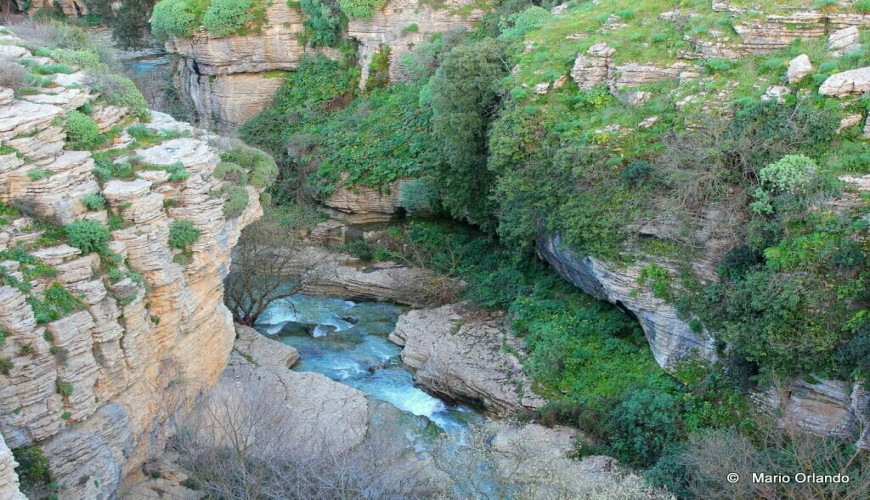 Corleone Beyond the Myth: A Complete Guide to History, Nature, and Gastronomy