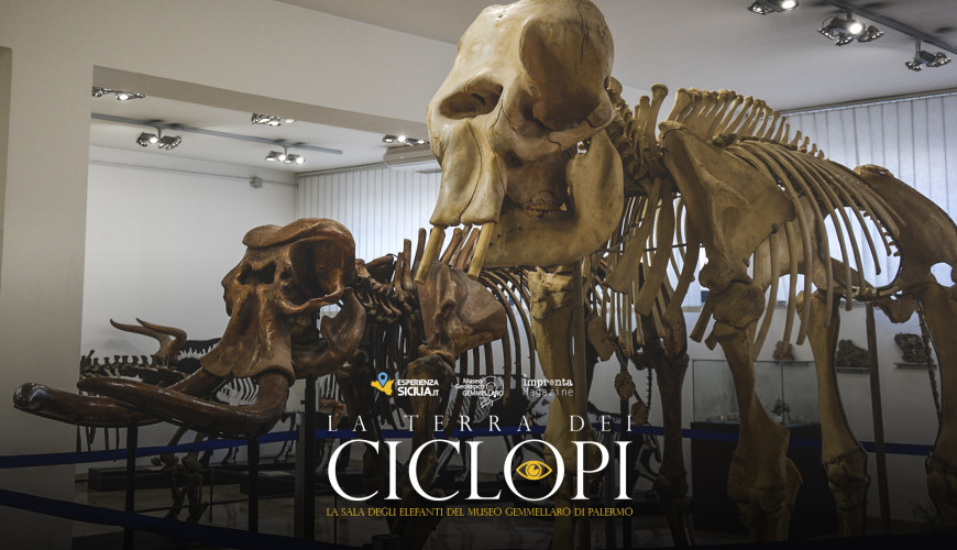 I musei in Sicilia da vedere in 1, 3, 5 e 7 giorni