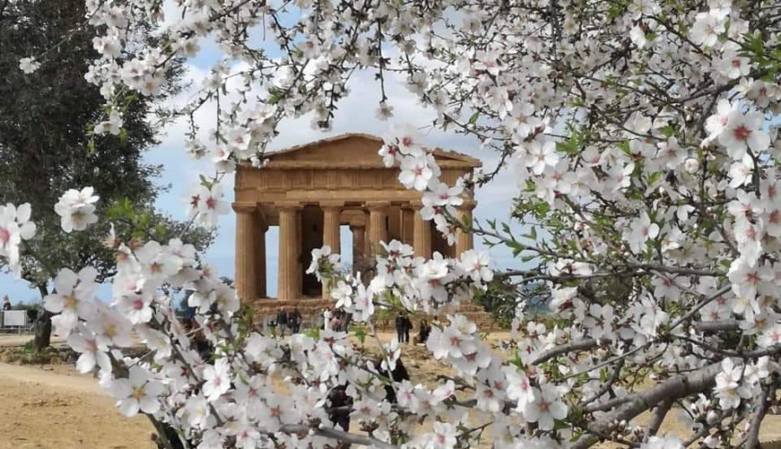 Cele mai bune 20 de festivaluri gastronomice de neratat din Sicilia în 2026