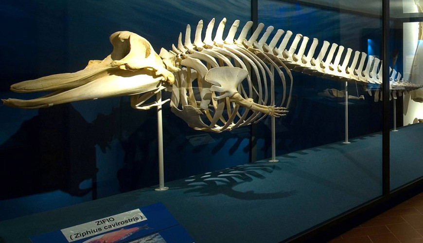 I musei in Sicilia da vedere in 1, 3, 5 e 7 giorni