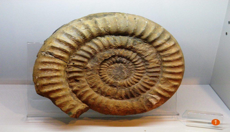 I musei in Sicilia da vedere in 1, 3, 5 e 7 giorni