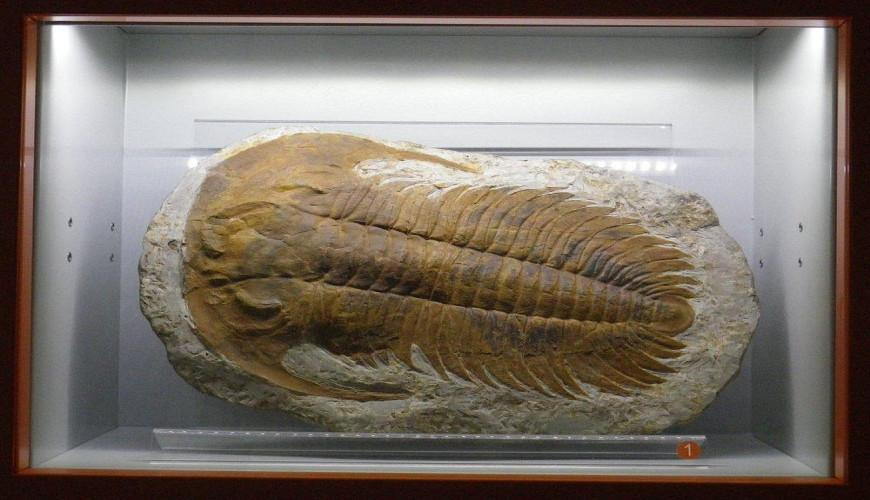 I musei in Sicilia da vedere in 1, 3, 5 e 7 giorni