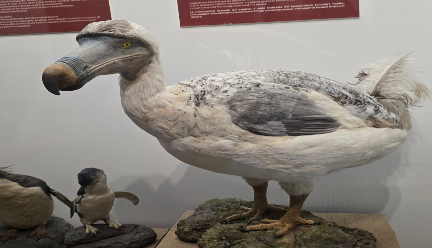 I musei in Sicilia da vedere in 1, 3, 5 e 7 giorni