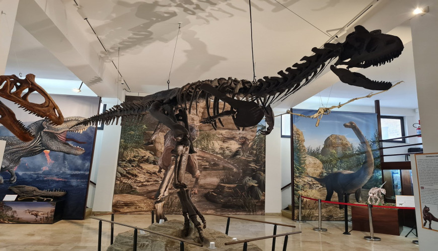 I musei in Sicilia da vedere in 1, 3, 5 e 7 giorni