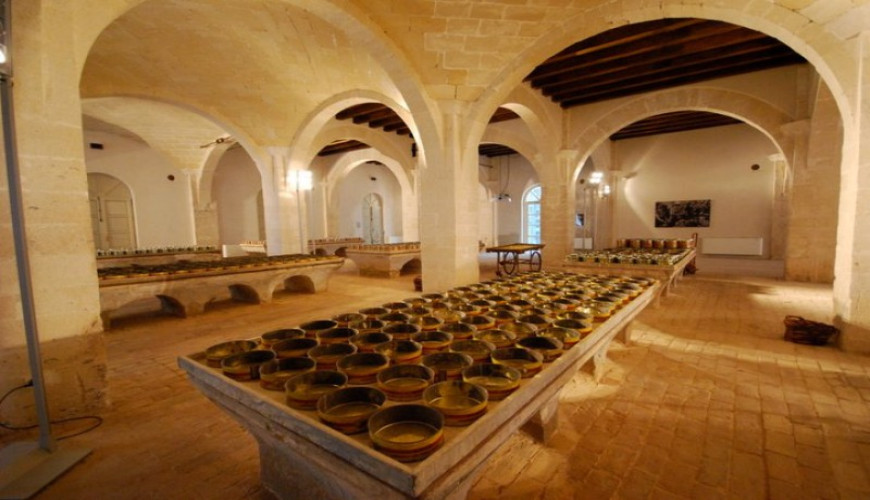 La guida completa su Favignana: cosa vedere in 1, 3, 5 e 7 giorni