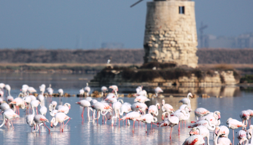 Mazara del Vallo, Marsala and the Stagnone