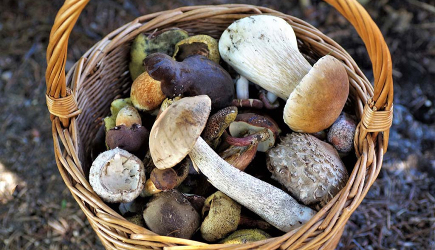Cele mai bune 20 de festivaluri gastronomice de neratat din Sicilia în 2026