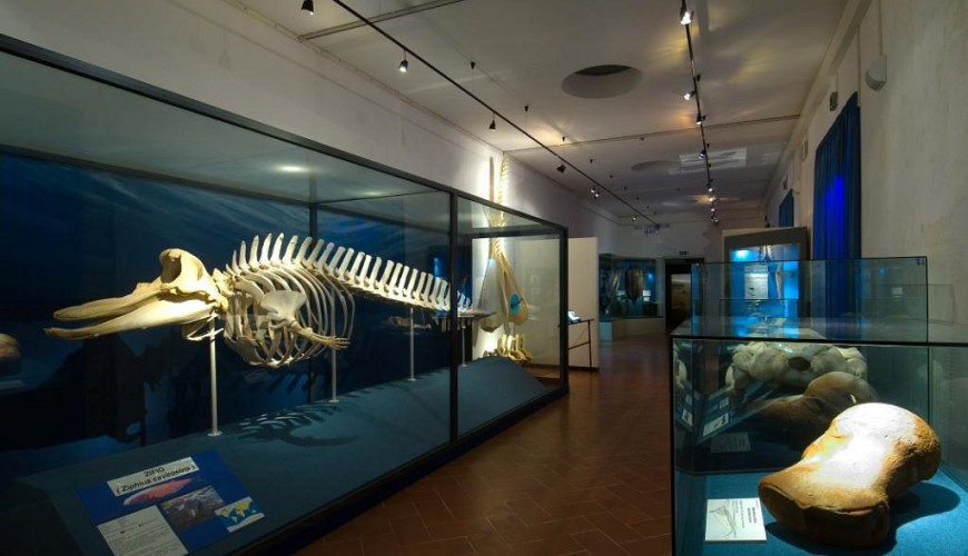 I musei in Sicilia da vedere in 1, 3, 5 e 7 giorni