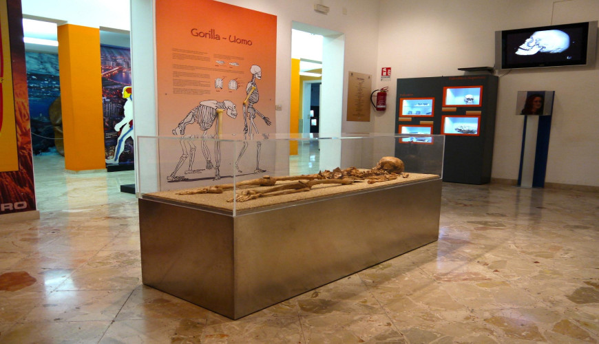 I musei in Sicilia da vedere in 1, 3, 5 e 7 giorni